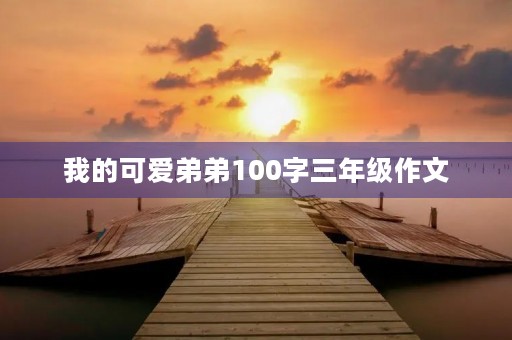 我的可爱弟弟100字三年级作文