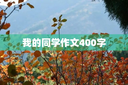 我的同学作文400字