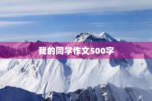 我的同学作文500字