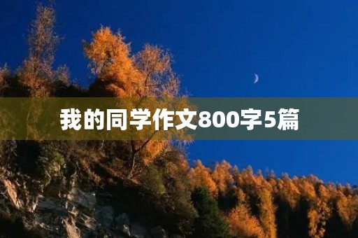 我的同学作文800字5篇