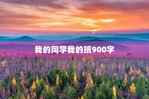 我的同学我的班900字 我的同学我的班900字