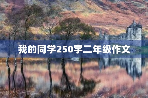 我的同学250字二年级作文
