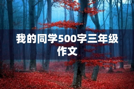 我的同学500字三年级作文