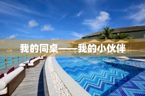 我的同桌——我的小伙伴
