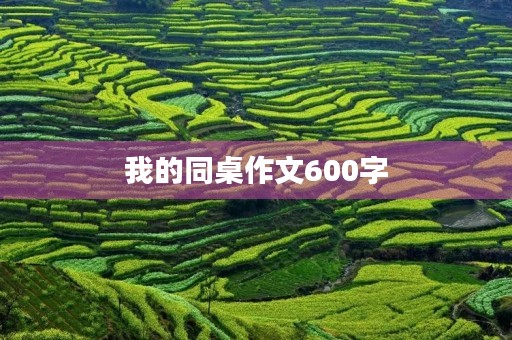我的同桌作文600字