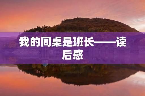 我的同桌是班长——读后感