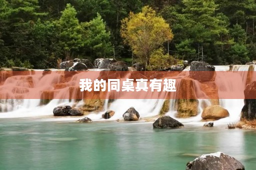 我的同桌真有趣