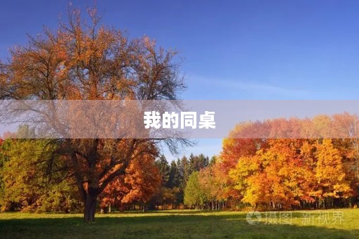 我的同桌