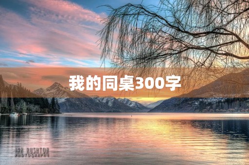 我的同桌300字 我的同桌300字