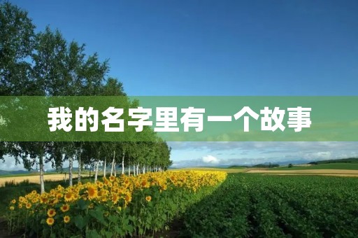 我的名字里有一个故事