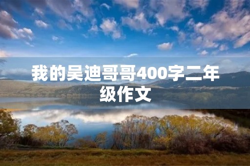 我的吴迪哥哥400字二年级作文