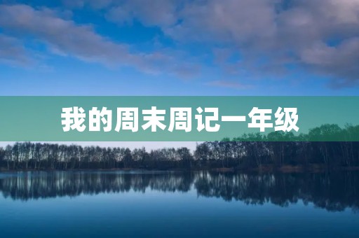 我的周末周记一年级