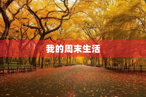 我的周末生活 我的周末生活