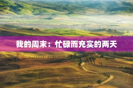 我的周末：忙碌而充实的两天