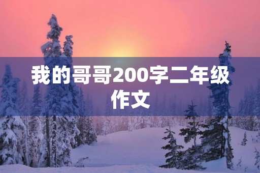 我的哥哥200字二年级作文