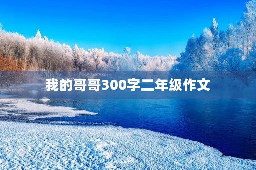 我的哥哥300字二年级作文 我的哥哥300字二年级作文