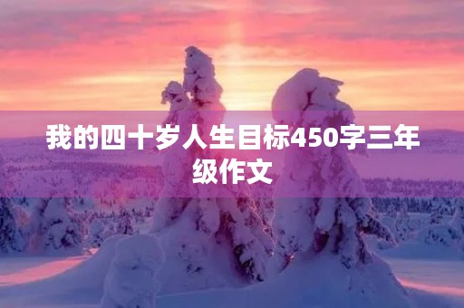 我的四十岁人生目标450字三年级作文
