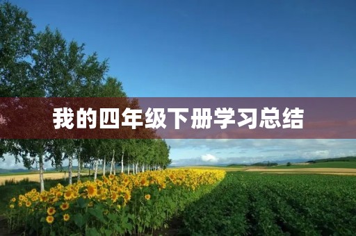 我的四年级下册学习总结