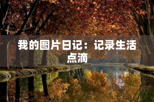 我的图片日记：记录生活点滴，留住美好时光