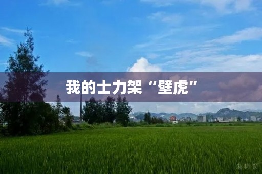 我的士力架“壁虎”