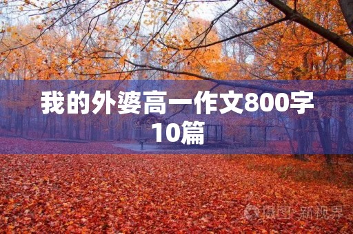 我的外婆高一作文800字10篇 我的外婆高一作文800字10篇