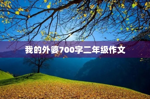 我的外婆700字二年级作文