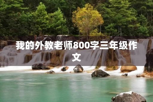 我的外教老师800字三年级作文