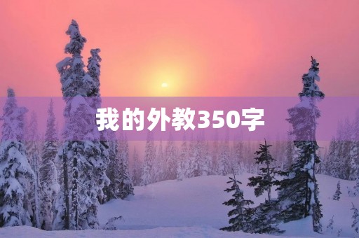 我的外教350字