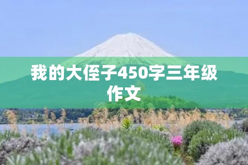 我的大侄子450字三年级作文