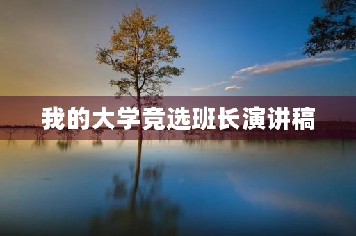 我的大学竞选班长演讲稿