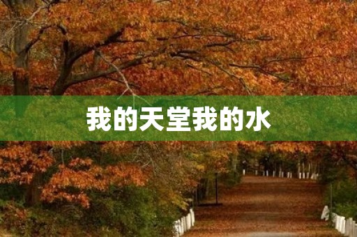 我的天堂我的水