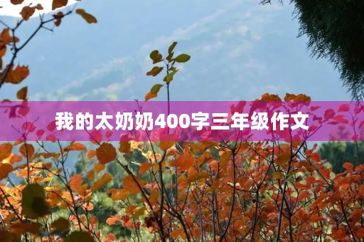 我的太奶奶400字三年级作文