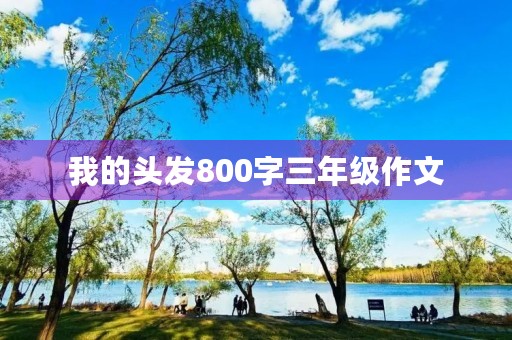 我的头发800字三年级作文