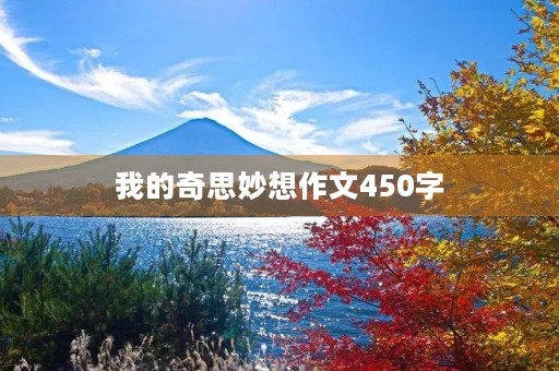 我的奇思妙想作文450字 我的奇思妙想作文450字