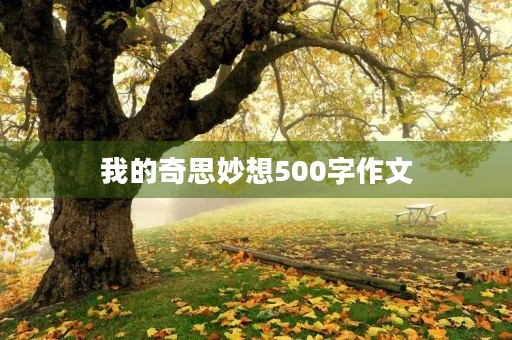 我的奇思妙想500字作文