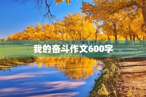 我的奋斗作文600字 我的奋斗作文600字