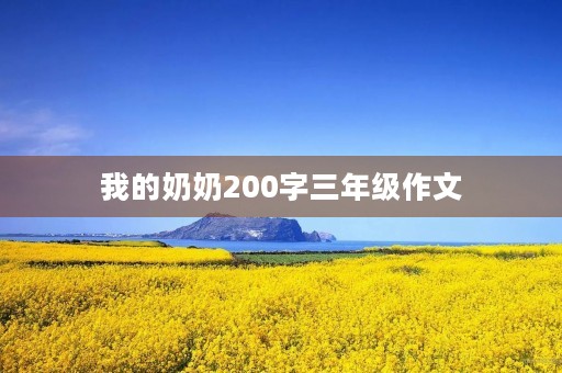 我的奶奶200字三年级作文