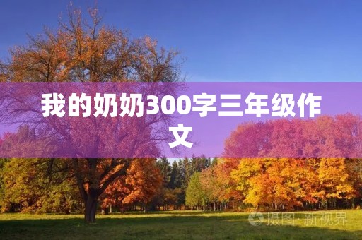 我的奶奶300字三年级作文 我的奶奶300字三年级作文