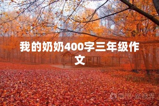 我的奶奶400字三年级作文
