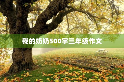 我的奶奶500字三年级作文