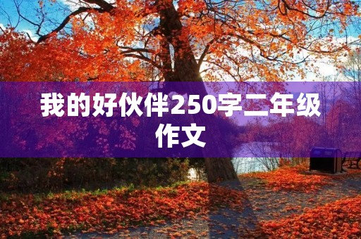 我的好伙伴250字二年级作文 我的好伙伴250字二年级作文