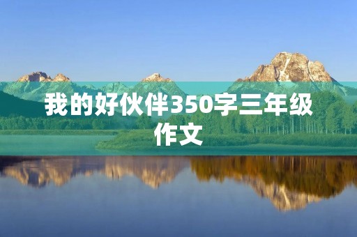 我的好伙伴350字三年级作文 我的好伙伴350字三年级作文