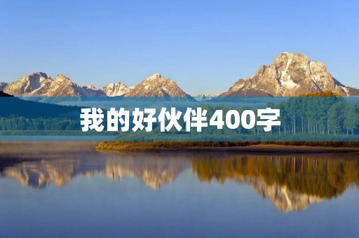 我的好伙伴400字