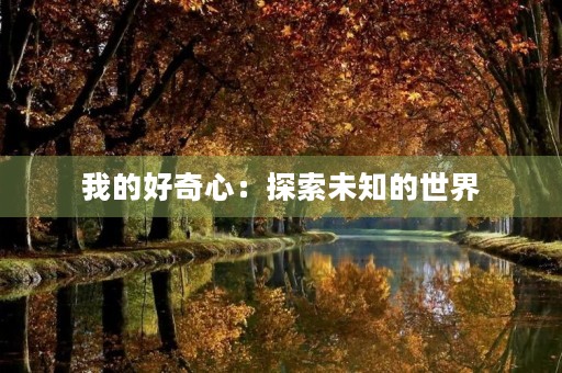 我的好奇心：探索未知的世界
