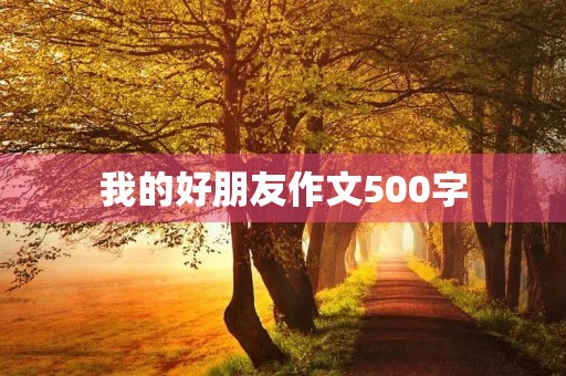 我的好朋友作文500字