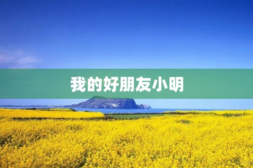我的好朋友小明 我的好朋友小明