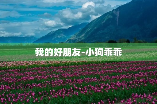 我的好朋友-小狗乖乖