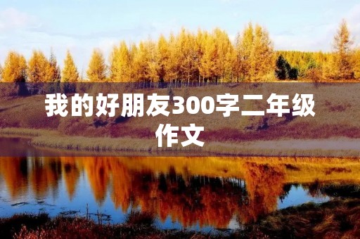 我的好朋友300字二年级作文