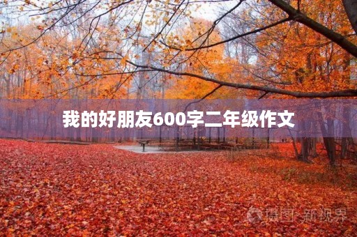 我的好朋友600字二年级作文