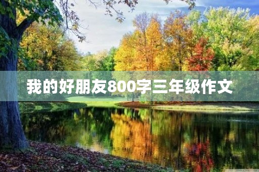 我的好朋友800字三年级作文